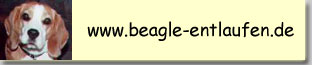 www.beagle-entlaufen.de